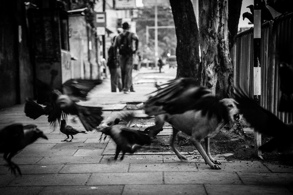 Sri-Lanka-16.jpg