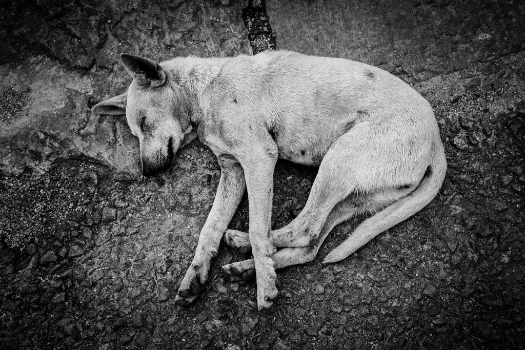 Sri-Lanka-17.jpg