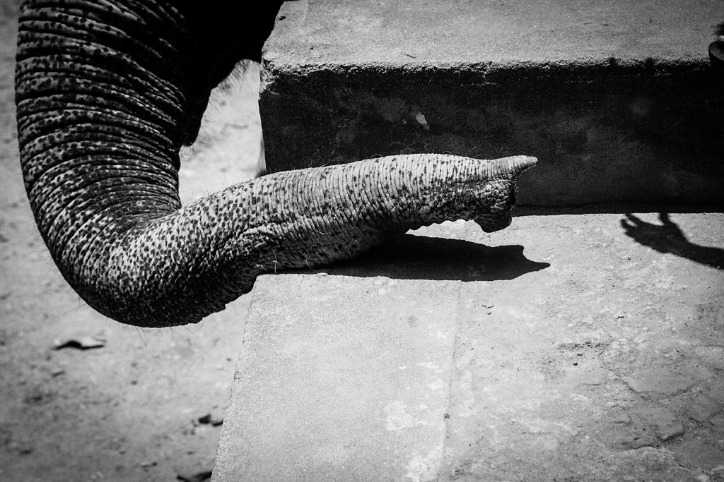 Sri-Lanka-48.jpg