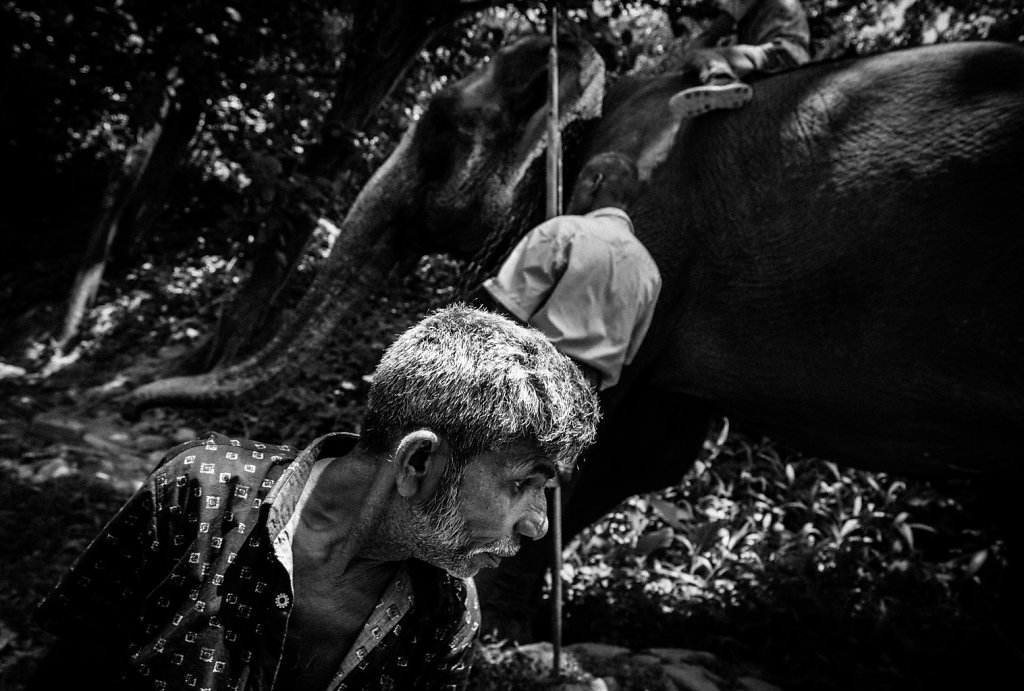 Sri-Lanka-49.jpg